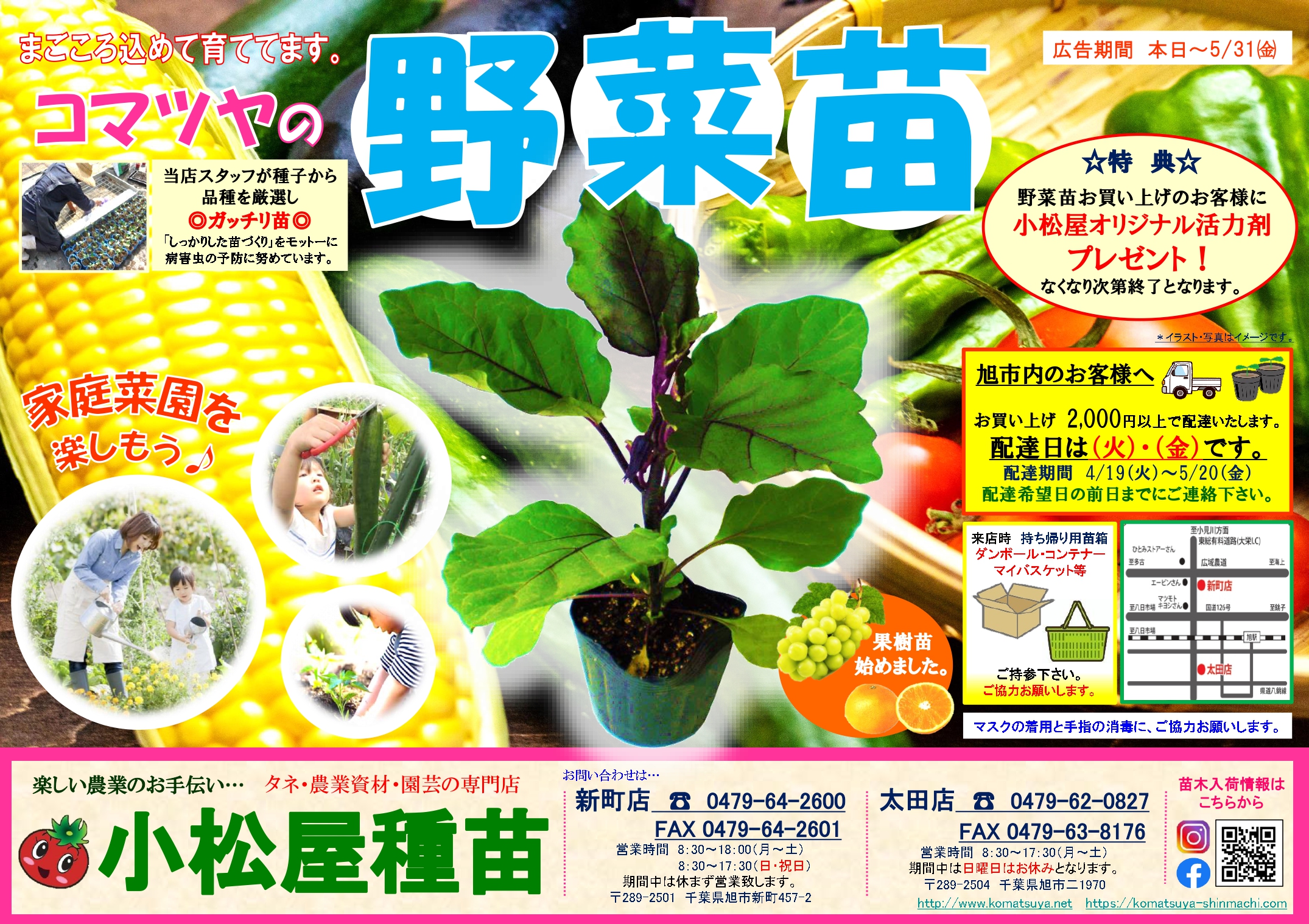 お詫び 小松屋種苗新町店 千葉県旭市 野菜タネ 種子 苗木 農業資材 家庭菜園に最適な種苗