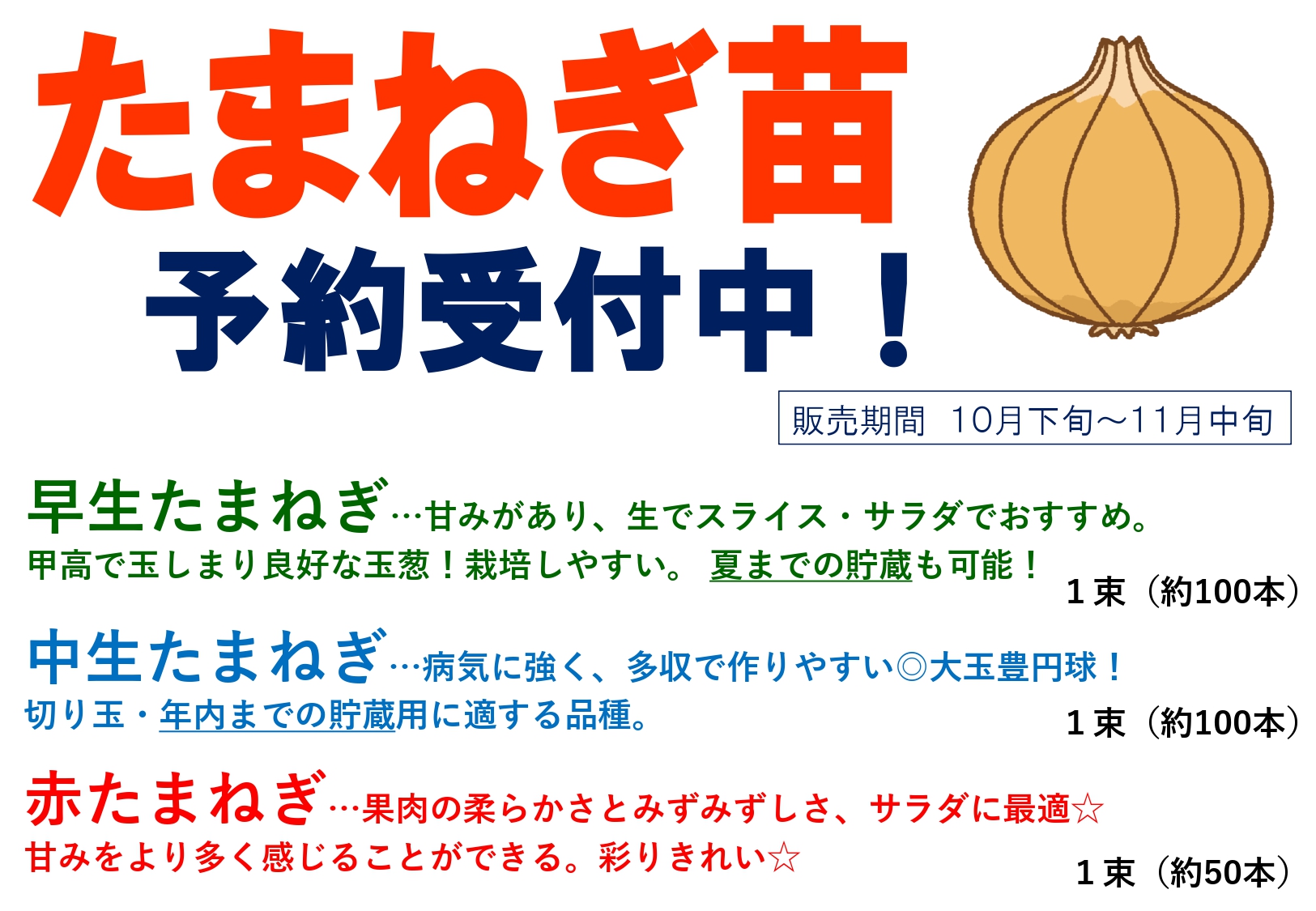 たまねぎ苗 予約受付中！！早生・中生・赤玉ねぎの3種類です。販売は10 